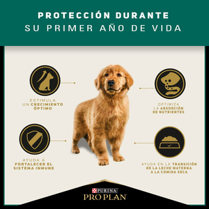 Pro Plan Alimento Seco para Cachorro de Razas Medianas, 15 kg