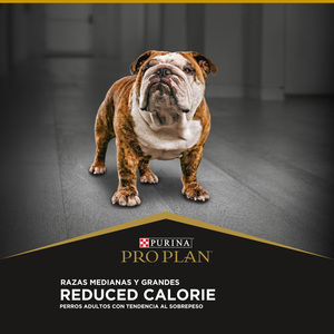 Pro Plan Reduced Calorie Alimento Seco para Perro Adulto de Razas Medianas y Grandes, 15 kg