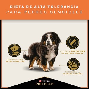 Pro Plan Alimento Avanzado Seco Optiderma Cachorro Sensitive Skin para Cachorro Receta Cordero y Arroz, 3 kg