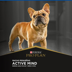 Pro Plan Active Mind Alimento Seco para Perro Adulto de Razas Pequeñas, 3 kg