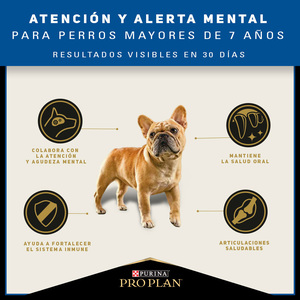Pro Plan Active Mind Alimento Seco para Perro Adulto de Razas Pequeñas, 3 kg