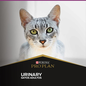 Pro Plan Urinary Alimento Seco para Gato Adulto de Todas las Razas, 7.5 kg