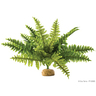 Exo Terra Helecho Boston Fern, Mediano