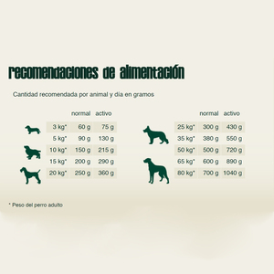 Bewi Dog Alimento Natural Seco para Adulto Sport Croc Perro, 25 kg