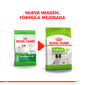 Royal Canin Alimento Seco para Perro Senior +8 X-Small, 1 kg