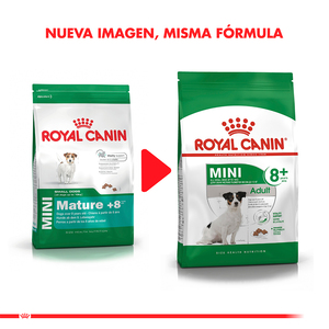Royal Canin Alimento Seco para Perro Senior 8+ Raza Pequeña, 1 kg