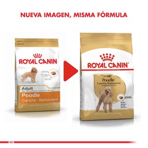 Royal Canin Alimento Seco para Perro Poodle Adulto, 1 kg
