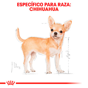 Royal Canin Alimento Seco para Perro Adulto Raza Chihuahua, 1 kg