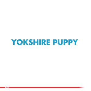 Royal Canin Alimento Seco para Cachorro Raza Yorkshire Terrier, 3 kg