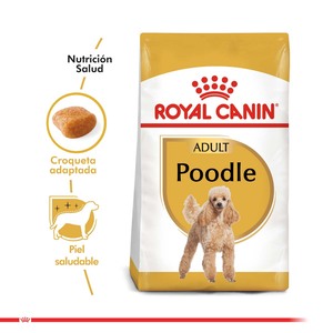 Royal Canin Alimento Seco para Perro Poodle Adulto, 3 kg