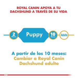 Royal Canin Alimento Seco para Perro Dachshund Cachorro, 2.5 kg