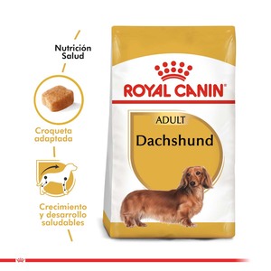 Royal Canin Alimento Seco para Perro Adulto Raza Dachshund, 2.5 kg