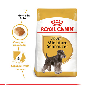 Royal Canin Alimento Seco para Perro Adulto Raza Schnauzer Miniatura, 2.5 kg