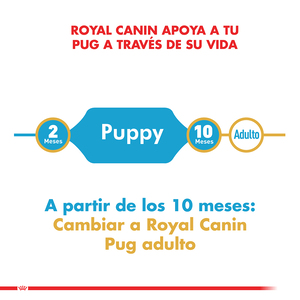Royal Canin Alimento Seco para Cachorro Raza Pug, 2.5 kg