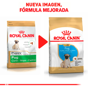 Royal Canin Alimento Seco para Cachorro Raza Pug, 2.5 kg