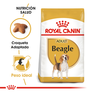 Royal Canin Alimento Seco para Perro Beagle Adulto, 3 kg