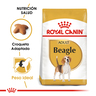 Royal Canin Alimento Seco para Perro Beagle Adulto, 3 kg Royal Canin Alimento Seco para Perro Beagle Adulto, 3 kg