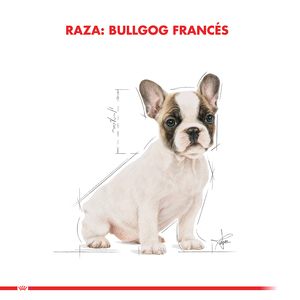 Royal Canin Alimento Seco para Perro Bulldog Frances Cachorro, 3 kg