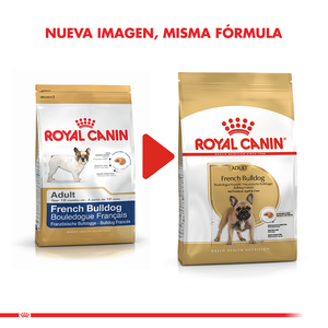 Royal Canin Alimento Seco para Perro Bulldog Frances Adult, 3 kg