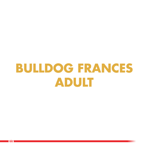 Royal Canin Alimento Seco para Perro Bulldog Frances Adult, 3 kg