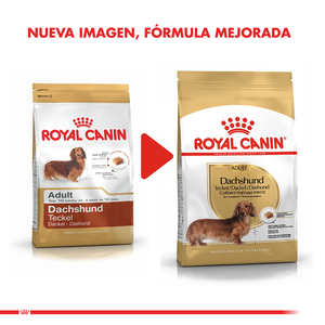 Royal Canin Alimento Seco para Perro Adulto Raza Dachshund, 7.5 kg