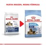 Royal Canin Alimento Seco para Perro Lactancia Maxi, 10 kg Royal Canin Alimento Seco para Perro Lactancia Maxi, 10 kg