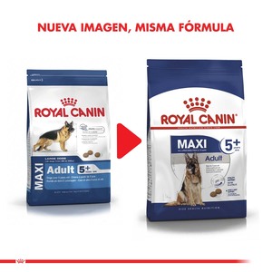 Royal Canin Alimento Seco para Perro Adulto 5+ Raza Maxi, 15 kg