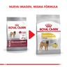 Royal Canin Dermacomfort Alimento Seco para Perro Adulto Piel Sensible Raza Mediana Receta Pollo, 10.1 kg