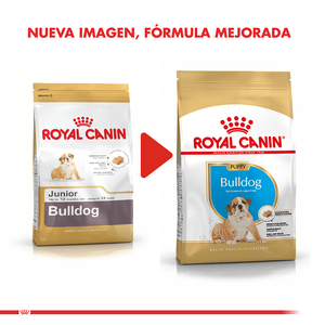 Royal Canin Alimento Seco para Cachorro Raza Bulldog, 12 kg