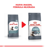 Royal Canin Alimento Seco para Gato Intense Hairball, 1.5 kg Royal Canin Alimento Seco para Gato Intense Hairball, 1.5 kg
