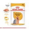 Royal Canin Alimento Húmedo para Yorkshire Adulto Pouch, 85 g