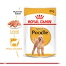 Royal Canin Alimento Húmedo para Poodle Adulto Pouch, 85 g Royal Canin Alimento Húmedo para Poodle Adulto Pouch, 85 g