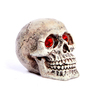 Penn Plax Calavera Ojos Rojos, 9 cm Largo x 6.5 cm Ancho x 6.5 cm Alto Penn Plax Calavera Ojos Rojos, 9 cm Largo x 6.5 cm Ancho x 6.5 cm Alto