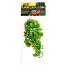 Zoo Med Natural Bush Hiedra Del Congo de Decoración para Terrario, Mediana