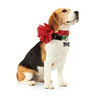 Merry Makings Accesorio Tipo Collar en Forma de Moño Rojo para Perro, Unitalla Merry Makings Accesorio Tipo Collar en Forma de Moño Rojo para Perro, Unitalla