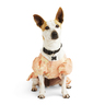 Youly Vestido Sketched con Estampado Floral, Grande Youly Vestido Sketched con Estampado Floral, Grande