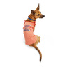 Youly Polera sin Mangas Rosa Wild & Free para Perro, Mediana Youly Polera sin Mangas Rosa Wild & Free para Perro, Mediana