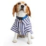 Youly Polera de Rayas Azul con Blanco para Perro, Chica Youly Polera de Rayas Azul con Blanco para Perro, Chica
