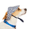 Youly Visera Blanco/Negro para Perro, X-Chico/Chico Youly Visera Blanco/Negro para Perro, X-Chico/Chico