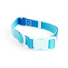 Youly Collar Ajustable Diseño Impermeable Color Azul con Broche para Perro, Chico Youly Collar Ajustable Diseño Impermeable Color Azul con Broche para Perro, Chico