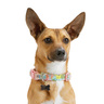 Youly Collar Ajustable Diseño Floreado Color Rosa con Broche para Perro, Chico Youly Collar Ajustable Diseño Floreado Color Rosa con Broche para Perro, Chico