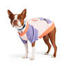 Youly Pre Spring Sudadera Cuello Redondo Fun para Perro, Mediano Youly Pre Spring Sudadera Cuello Redondo Fun para Perro, Mediano