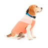 Youly Pre Spring Suéter Tonalidades Rosas para Perro, Mediano Youly Pre Spring Suéter Tonalidades Rosas para Perro, Mediano