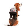 Reddy Spring Backpack con Capucha Negra Camo, Chico / Mediano Reddy Spring Backpack con Capucha Negra Camo, Chico / Mediano