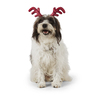 Merry Makings Diadema Navideña en Forma de Cuernos de Reno para Perro, Chica / Mediana Merry Makings Diadema Navideña en Forma de Cuernos de Reno para Perro, Chica / Mediana
