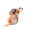 Latipaw Arnés con Backpack Modelo Jetpack para Perro, Mediano Latipaw Arnés con Backpack Modelo Jetpack para Perro, Mediano