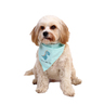 Latipaw Dinosaurs Bandana Dinosaurio Azul para Perro, Grande/ X-Grande Latipaw Dinosaurs Bandana Dinosaurio Azul para Perro, Grande/ X-Grande