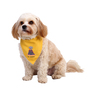 Latipaw Dinosaurs Bandana Diseño Volcán para Perro, Chico/ Mediano Latipaw Dinosaurs Bandana Diseño Volcán para Perro, Chico/ Mediano