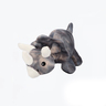 Nisoger Dinosaurs Triceratops de Peluche con Cuerda Interna para Perro, Mediano Nisoger Dinosaurs Triceratops de Peluche con Cuerda Interna para Perro, Mediano