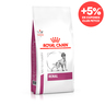 Royal Canin Medicado Alimento Seco para Perro Renal Canin, 10.1 kg Royal Canin Medicado Alimento Seco para Perro Renal Canin, 10.1 kg
